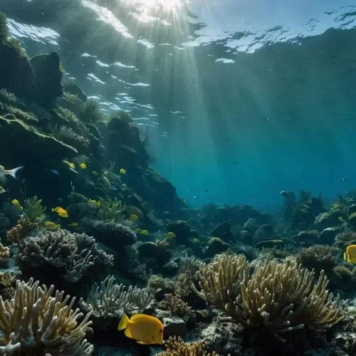 Descubra o Eighth Continente Zealandia: Uma Revelação Surpreendente