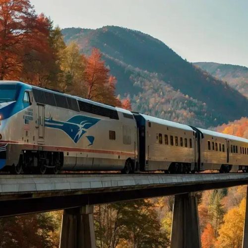 Descubra por que o Amtrak Cardinal é nomeado após o pássaro estadual