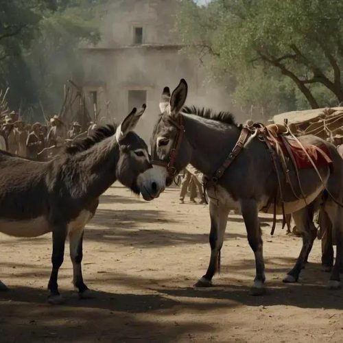 TIL: A Origem dos Burros como Símbolo dos Democratas