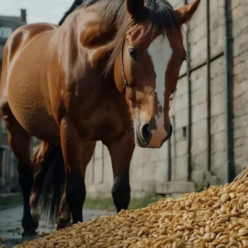 TIL: A Teoria do Cavalo e dos Pardais na Economia